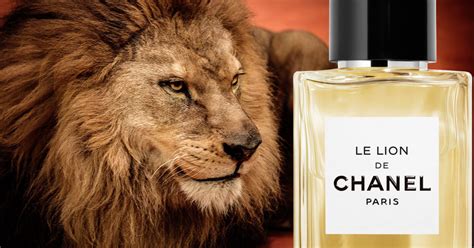 le lion chanel|chanel le lion perfume review.